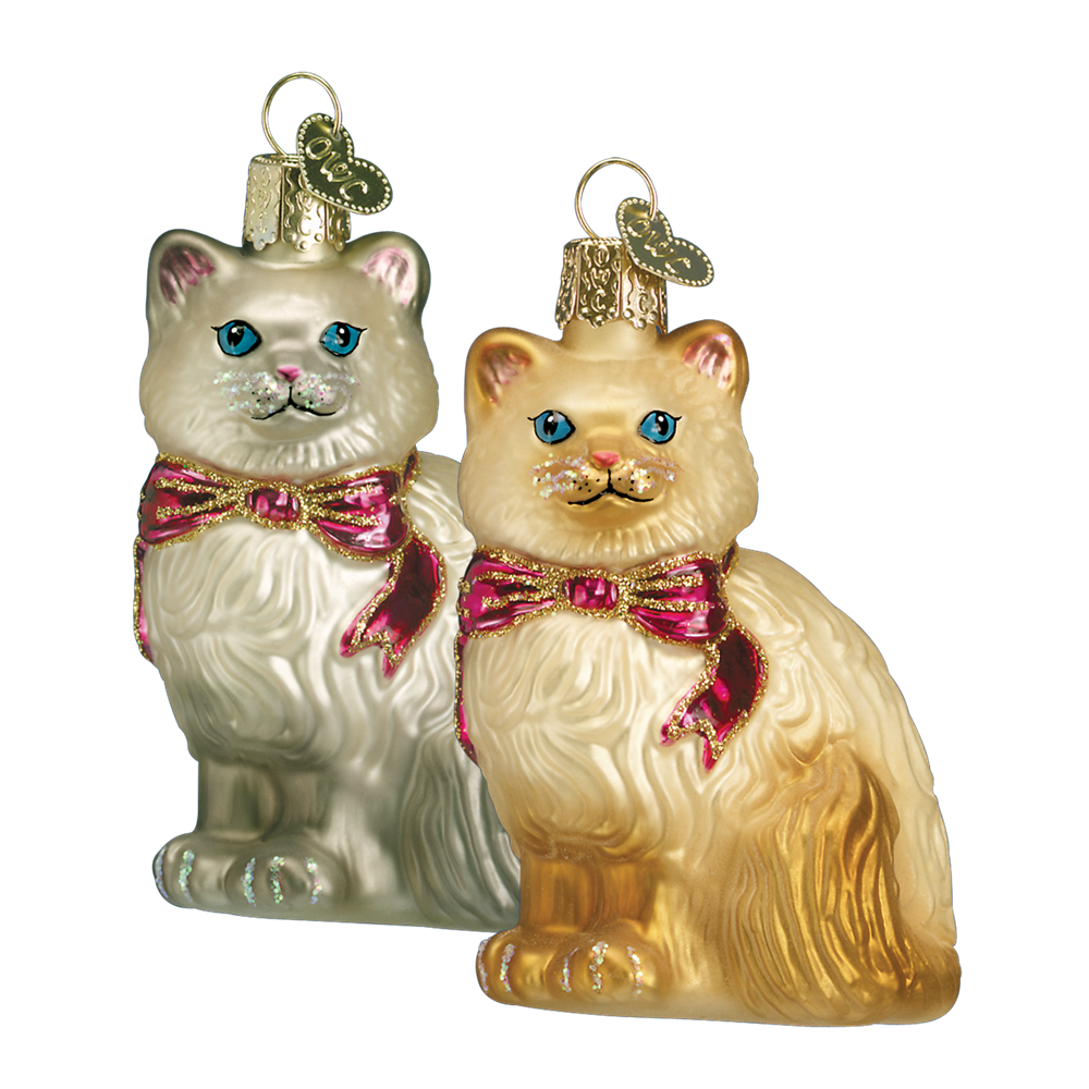 Himalayan Kitty