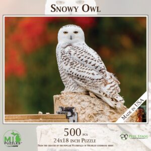 Snowy Owl
