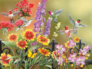Hummingbirds at the Gate