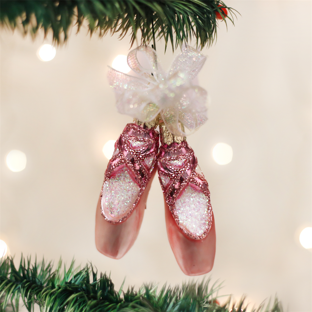 Pair of Ballet Slippers