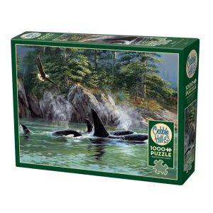 Orcas