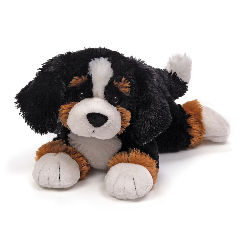 Randle Bernese Mountain Dog