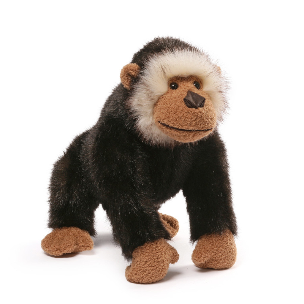Bongo Gorilla