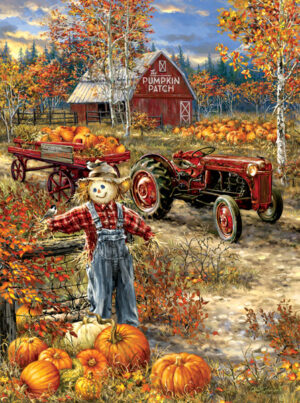 The Pumpkin Patch Farm