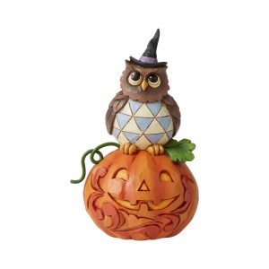 Owl Sitting on Pumpkin