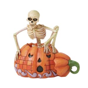 Scared To The Bone - PREORDER