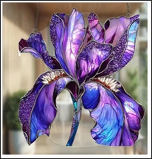 Iris