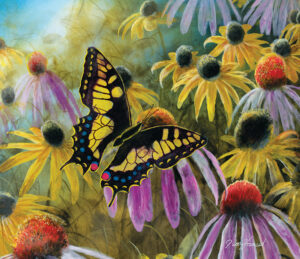 Swallowtail Visitor