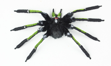 Halloween Spider