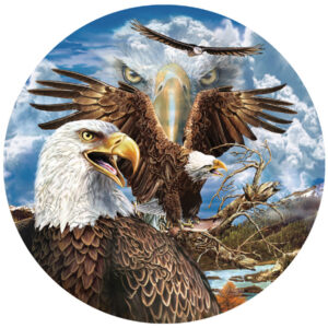 13 Eagles