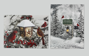 Lighted Canvas with Cardinal (sold separately)