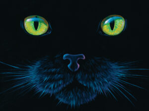 Black Cat