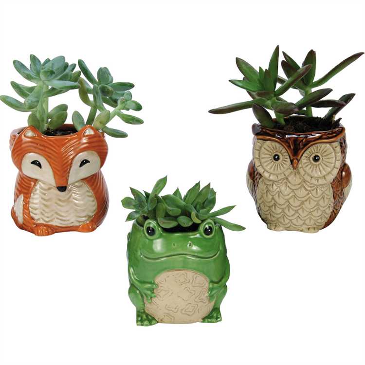 Mini Woodland Planters, Set of 3