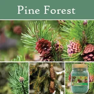 Pine Forest Mason Jar
