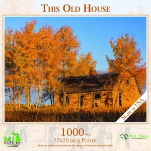 This Old House