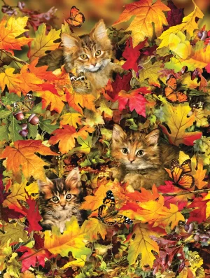Kitties at Play
